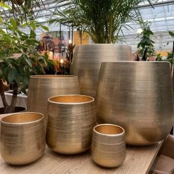 Merkloos Karakter Pot Alu Neo Gold ø40x40cm -Gardena Winkel 1200x1198 37