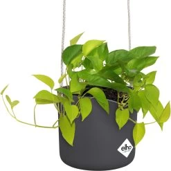 Elho B.for Swing 18 Hangpot - Bloempot Voor Binnen - Ø 18.0 X H 16.5 Cm - Zwart/Antraciet -Gardena Winkel 1200x1198 40