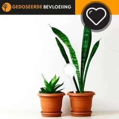 Waterdruppelaar Set Van 6 Stuks Voor Planten Transparant – 27 CM – Automatisch Watergeefsysteem Voor Kamerplanten – Planten Watergever Met Druppelsysteem – Waterbol 8 Waterdruppelaar Set Van 6 Stuks Voor Planten Transparant – 27 CM – Automatisch Watergeefsysteem Voor Kamerplanten – Planten Watergever Met Druppelsysteem – Waterbol -Gardena Winkel 1200x1200 1002