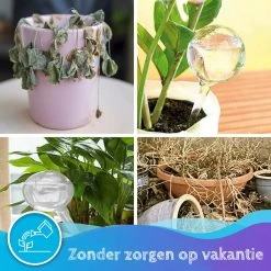Summer Spark Waterdruppelaar Voor Planten 6 Stuks Transparant – 27 CM X 8 CM – 250 ML – Automatisch Watergeefsysteem Voor Kamerplanten – Planten Watergever Met Druppelsysteem – Waterbol 10 Summer Spark Waterdruppelaar Voor Planten 6 Stuks Transparant – 27 CM X 8 CM – 250 ML – Automatisch Watergeefsysteem Voor Kamerplanten – Planten Watergever Met Druppelsysteem – Waterbol -Gardena Winkel 1200x1200 1059