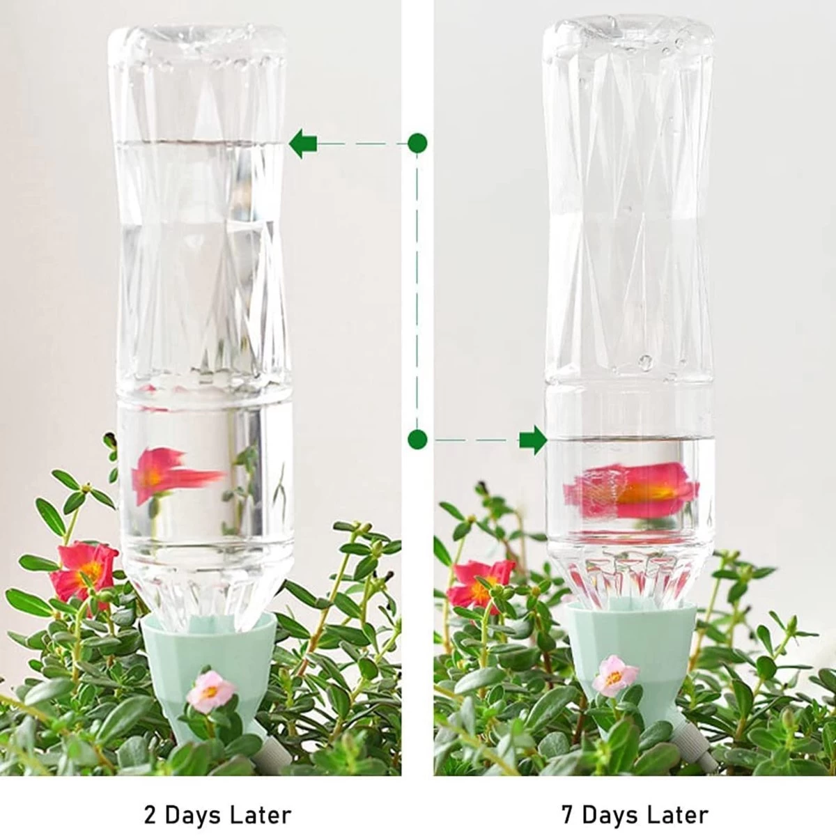 BOTC Waterdruppelaar Set Van 6 Stuks Voor Planten - Watergeefsysteem 5 BOTC Waterdruppelaar Set Van 6 Stuks Voor Planten - Watergeefsysteem - Afbeelding 5