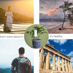 BOTC Waterdruppelaar Set Van 6 Stuks Voor Planten - Watergeefsysteem 16 BOTC Waterdruppelaar Set Van 6 Stuks Voor Planten - Watergeefsysteem -Gardena Winkel 1200x1200 1087