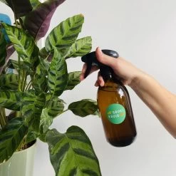 Groeikruid® Plantenspuit | 500 Ml Amber Glas | Met Zwarte Spraykop | Plantensproeier Binnen | Waterverstuiver | Verstuiver | Waterspuit -Gardena Winkel 1200x1200 1120