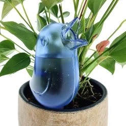 JS Drippy - Waterdruppelaars Set Van 2 Stuks - Druppelaar Vogel - Druppelsysteem Planten - Watergeefsysteem Kamerplanten - Waterbol - Blauw 7 JS Drippy - Waterdruppelaars Set Van 2 Stuks - Druppelaar Vogel - Druppelsysteem Planten - Watergeefsysteem Kamerplanten - Waterbol - Blauw -Gardena Winkel 1200x1200 1180