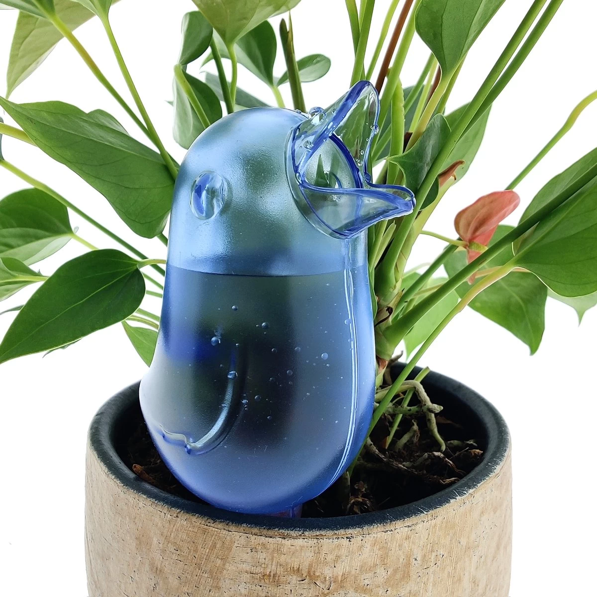 JS Drippy - Waterdruppelaars Set Van 2 Stuks - Druppelaar Vogel - Druppelsysteem Planten - Watergeefsysteem Kamerplanten - Waterbol - Blauw 3 JS Drippy - Waterdruppelaars Set Van 2 Stuks - Druppelaar Vogel - Druppelsysteem Planten - Watergeefsysteem Kamerplanten - Waterbol - Blauw - Afbeelding 3