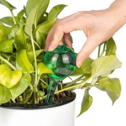 Merkloos Decopatent® 4 Stuks - Waterdruppelaar Voor Planten - Watergever - Glas - Waterbollen - Watergeefsysteem - Plantenbollen - Groen 19 Merkloos Decopatent® 4 Stuks - Waterdruppelaar Voor Planten - Watergever - Glas - Waterbollen - Watergeefsysteem - Plantenbollen - Groen -Gardena Winkel 1200x1200 1201