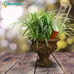 Bloomin Waterdruppelaar Van Terracotta - Waterdruppelaar Voor Planten - Druppelsysteem - Irrigatiesysteem - Watergeefsysteem - Bewateringssysteem - 8 Stuks -Gardena Winkel 1200x1200 1203