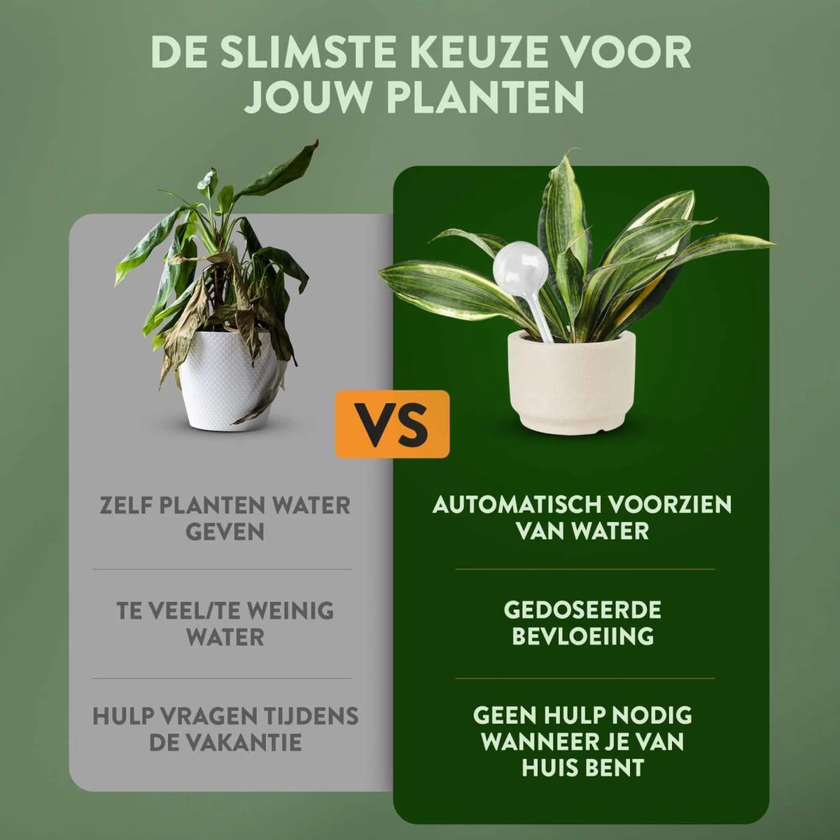 STFF & Co® Waterdruppelaar Voor Planten – Irrigatiesysteem Automatisch Watergeefsysteem – Waterbollen Voor Planten – Bewateringssysteem – 8 Stuks - 8cm 3 STFF & Co® Waterdruppelaar Voor Planten – Irrigatiesysteem Automatisch Watergeefsysteem – Waterbollen Voor Planten – Bewateringssysteem – 8 Stuks - 8cm - Afbeelding 3
