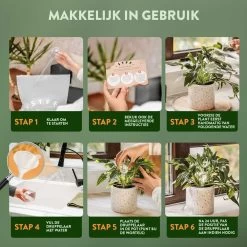 STFF & Co® Waterdruppelaar Voor Planten – Irrigatiesysteem Automatisch Watergeefsysteem – Waterbollen Voor Planten – Bewateringssysteem – 8 Stuks - 8cm 8 STFF & Co® Waterdruppelaar Voor Planten – Irrigatiesysteem Automatisch Watergeefsysteem – Waterbollen Voor Planten – Bewateringssysteem – 8 Stuks - 8cm -Gardena Winkel 1200x1200 1222