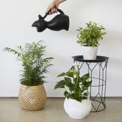 Balvi Meow! Kat Gieter - Zwart -Gardena Winkel 1200x1200 1423