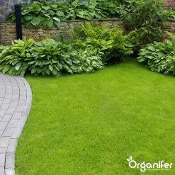 Koemestkorrels 3in1 (20Kg Voor 200m2) Allround Organische Meststof - Direct Opneembare Voeding - Langdurige Werking > 120 Dagen - Geurloos - Verbeterd Bodem - Lavameel Toevoeging - Versterkt Gras En Planten - Organifer -Gardena Winkel 1200x1200 1481