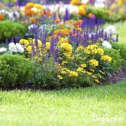 Koemestkorrels 3in1 (20Kg Voor 200m2) Allround Organische Meststof - Direct Opneembare Voeding - Langdurige Werking > 120 Dagen - Geurloos - Verbeterd Bodem - Lavameel Toevoeging - Versterkt Gras En Planten - Organifer -Gardena Winkel 1200x1200 1482