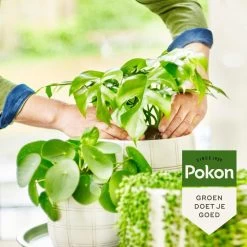 Pokon Bio Groene Planten Voeding - 500ml - Plantenvoeding (bio) - 7ml Per 1L Water -Gardena Winkel 1200x1200 1493