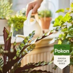 Pokon Bio Kamerplanten Voeding - 1l - Plantenvoeding (bio) - 7ml Per 1L Water -Gardena Winkel 1200x1200 1494