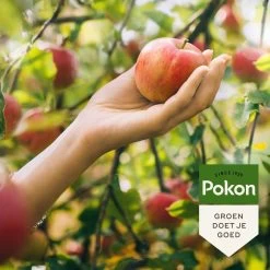 Pokon Bio Fruitbomen Mest - 1kg - Meststof (biologisch) - 120 Dagen Voeding -Gardena Winkel 1200x1200 1499