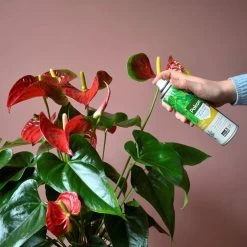 Pokon Bladglans 600ml -Gardena Winkel 1200x1200 1505