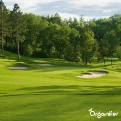 Kalk Korrel Meststof Verrijkt Met Magnesium (5Kg - Voor 100m2) Voor Dieper Bladgroen (+PH) Speciaal Voor Gazon, Perken, Moestuin En Openbaar Groen - Organifer -Gardena Winkel 1200x1200 1511