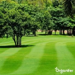 Kalk Korrel Meststof Verrijkt Met Magnesium (5Kg - Voor 100m2) Voor Dieper Bladgroen (+PH) Speciaal Voor Gazon, Perken, Moestuin En Openbaar Groen - Organifer -Gardena Winkel 1200x1200 1515