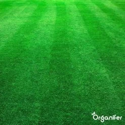 Kalk Korrel Meststof Verrijkt Met Magnesium (5Kg - Voor 100m2) Voor Dieper Bladgroen (+PH) Speciaal Voor Gazon, Perken, Moestuin En Openbaar Groen - Organifer -Gardena Winkel 1200x1200 1516