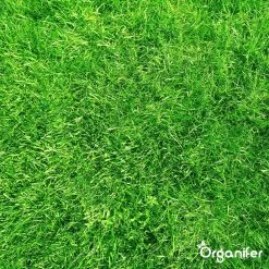 Kalk Korrel Meststof Verrijkt Met Magnesium (5Kg - Voor 100m2) Voor Dieper Bladgroen (+PH) Speciaal Voor Gazon, Perken, Moestuin En Openbaar Groen - Organifer -Gardena Winkel 1200x1200 1518