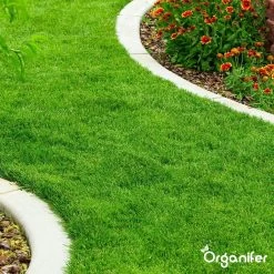 Gazonmest All-In-One (5Kg - Voor 100m2) Voor Een Diepgroen Sterk Gazon Zonder Mos En Onkruid - Complete Meststof Met Kalk En Grasversterker - Organifer -Gardena Winkel 1200x1200 1537