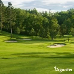 Gazonmest All-In-One (5Kg - Voor 100m2) Voor Een Diepgroen Sterk Gazon Zonder Mos En Onkruid - Complete Meststof Met Kalk En Grasversterker - Organifer -Gardena Winkel 1200x1200 1539