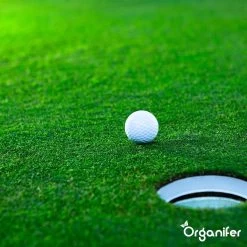 Gazonmest All-In-One (5Kg - Voor 100m2) Voor Een Diepgroen Sterk Gazon Zonder Mos En Onkruid - Complete Meststof Met Kalk En Grasversterker - Organifer -Gardena Winkel 1200x1200 1541