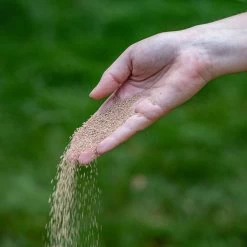 ECOstyle AZ Kalk Micro Korrel – Voor Gazon, Sier- En Moestuin - Corrigeert Zuurgraad Direct En Langdurig - Werkt Tegen Mos - CO2-Neutraal – 70 M² - 5 KG 14 ECOstyle AZ Kalk Micro Korrel – Voor Gazon, Sier- En Moestuin - Corrigeert Zuurgraad Direct En Langdurig - Werkt Tegen Mos - CO2-Neutraal – 70 M² - 5 KG -Gardena Winkel 1200x1200 1546