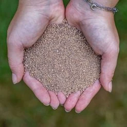 ECOstyle AZ Kalk Micro Korrel – Voor Gazon, Sier- En Moestuin - Corrigeert Zuurgraad Direct En Langdurig - Werkt Tegen Mos - CO2-Neutraal – 70 M² - 5 KG 15 ECOstyle AZ Kalk Micro Korrel – Voor Gazon, Sier- En Moestuin - Corrigeert Zuurgraad Direct En Langdurig - Werkt Tegen Mos - CO2-Neutraal – 70 M² - 5 KG -Gardena Winkel 1200x1200 1547