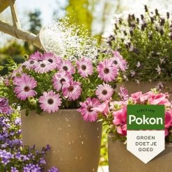 Pokon Terras & Balkonplanten Voeding - 1l - Plantenvoeding - 20ml Per 1L Water -Gardena Winkel 1200x1200 1550