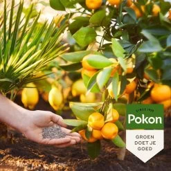 Pokon Mediterrane Planten Mest - 1kg - Meststof - 3-in-1 Werking -Gardena Winkel 1200x1200 1566