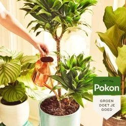 Pokon Kamerplanten Voeding - 500ml - Plantenvoeding - 20ml Per 1L Water -Gardena Winkel 1200x1200 1572