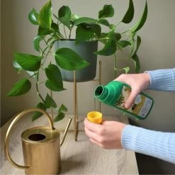 Pokon Kamerplanten Voeding - 500ml - Plantenvoeding - 20ml Per 1L Water -Gardena Winkel 1200x1200 1574