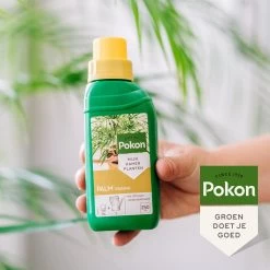 Pokon Palm Voeding - 250ml - Plantenvoeding - 10ml Per 1L Water -Gardena Winkel 1200x1200 1578