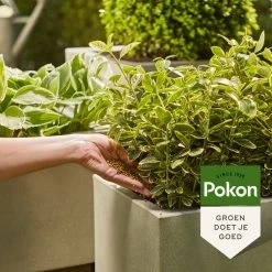 Pokon Voedingskorrels Voor Groene Planten - 800gr - 180 Dagen Voeding - Plantenvoeding -Gardena Winkel 1200x1200 1579