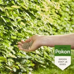 Pokon Beuken & Hagen Mest - 2,5kg - Meststof - 3-in-1 Werking 12 Pokon Beuken & Hagen Mest - 2,5kg - Meststof - 3-in-1 Werking -Gardena Winkel 1200x1200 1595