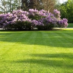 Snelwerkende Gazonmest Voor 100m² Gras | Meststof Voor Lente En Zomer | Ideaal Voor Meststofstrooier | Gazonbemesting -Gardena Winkel 1200x1200 1606