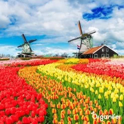 Lavagruis Uit Eifel Oergesteente (20Kg Voor 200m2) Grof Lavameel 0-2mm - Organifer -Gardena Winkel 1200x1200 1637