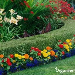 Lavagruis Uit Eifel Oergesteente (20Kg Voor 200m2) Grof Lavameel 0-2mm - Organifer -Gardena Winkel 1200x1200 1639