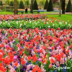 Lavagruis Uit Eifel Oergesteente (20Kg Voor 200m2) Grof Lavameel 0-2mm - Organifer -Gardena Winkel 1200x1200 1640