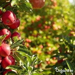 Lavagruis Uit Eifel Oergesteente (20Kg Voor 200m2) Grof Lavameel 0-2mm - Organifer -Gardena Winkel 1200x1200 1643