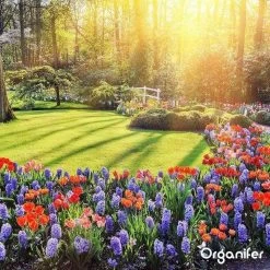 Lavagruis Uit Eifel Oergesteente (20Kg Voor 200m2) Grof Lavameel 0-2mm - Organifer -Gardena Winkel 1200x1200 1648