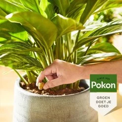 Pokon Kamerplanten Voedingskegels - 10st - Plantenvoeding - 6 Maanden Voeding -Gardena Winkel 1200x1200 1660