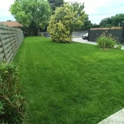 Gazonmest Met Ijzersulfaat Voor 100m²Gras | Gazon Meststof Met Ijzer | Mos Bestrijding & Gras Bemesting In Één | Ideaal Voor Meststofstrooier | Gazonbemesting -Gardena Winkel 1200x1200 1669