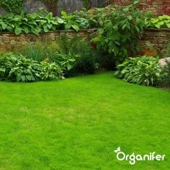 IJzersulfaat Meststof – Mos Verwijderaar – 5kg -Voor 250m2 (organifer) -Gardena Winkel 1200x1200 1676