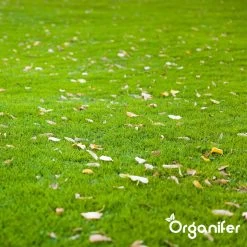 IJzersulfaat Meststof – Mos Verwijderaar – 5kg -Voor 250m2 (organifer) -Gardena Winkel 1200x1200 1679