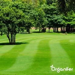 IJzersulfaat Meststof – Mos Verwijderaar – 5kg -Voor 250m2 (organifer) -Gardena Winkel 1200x1200 1680