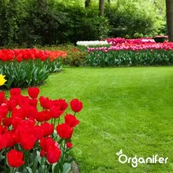 IJzersulfaat Meststof – Mos Verwijderaar – 5kg -Voor 250m2 (organifer) -Gardena Winkel 1200x1200 1682