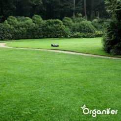 IJzersulfaat Meststof – Mos Verwijderaar – 5kg -Voor 250m2 (organifer) -Gardena Winkel 1200x1200 1683