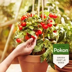 Pokon Bio Moestuin Mest - 1kg - Meststof (biologisch) - 120 Dagen Moestuinvoeding -Gardena Winkel 1200x1200 1686